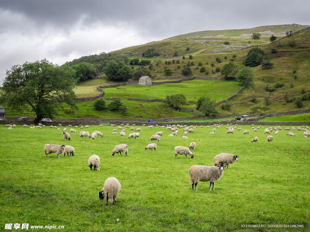 中世纪田园风景摄影图