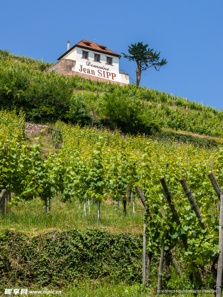 中世纪田园风景图