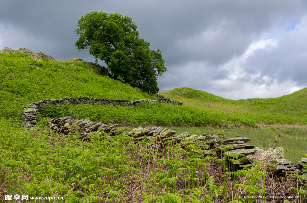 中世纪田园风景图