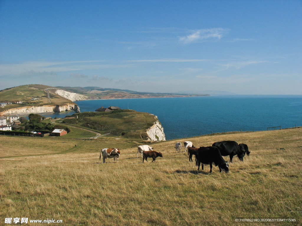 中世纪田园风景图