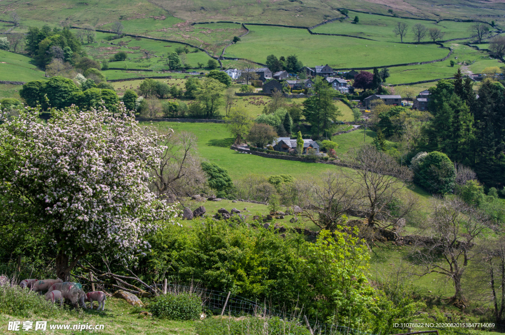 中世纪田园风景图