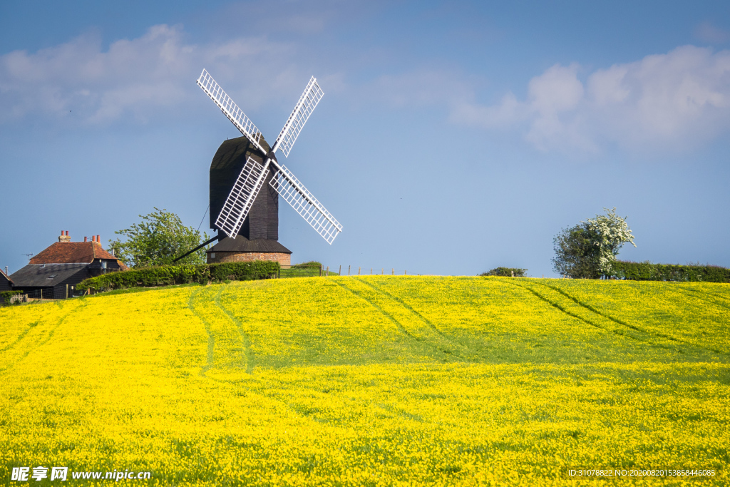 中世纪田园风景图