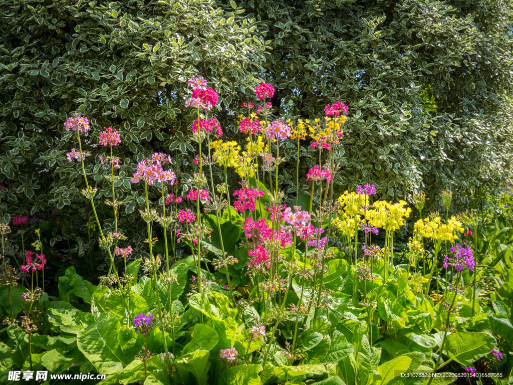 中世纪田园风景图