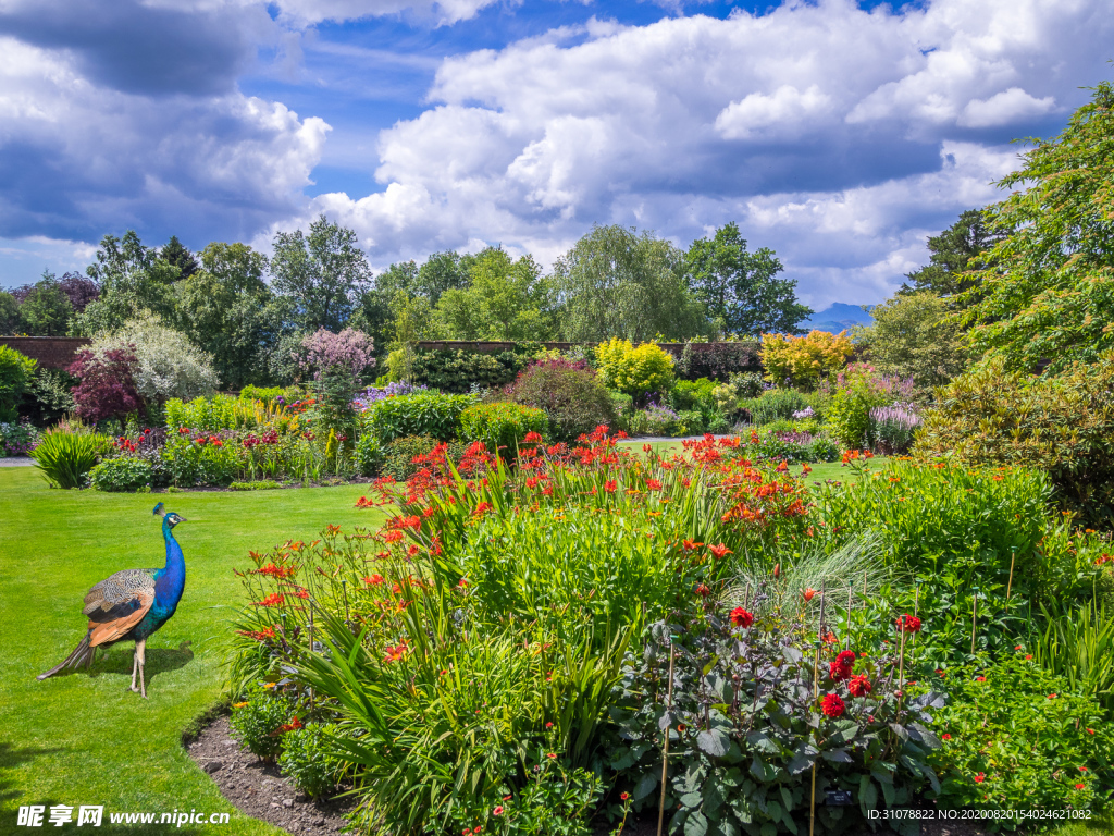 中世纪田园风景图