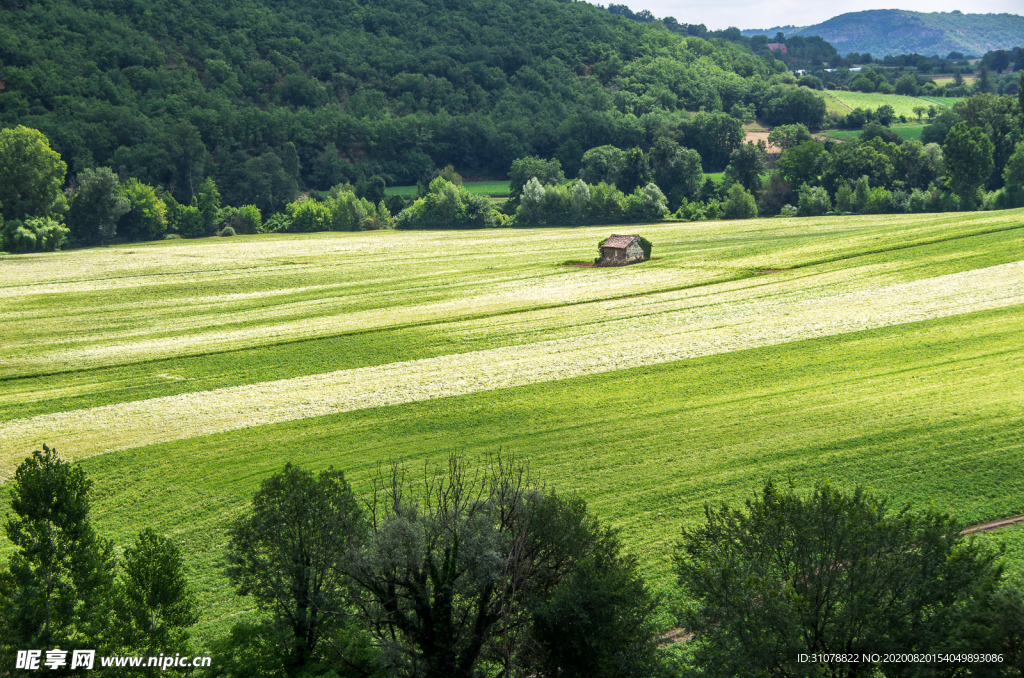 中世纪田园风景图