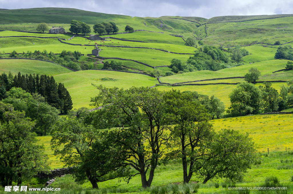 中世纪田园风景图