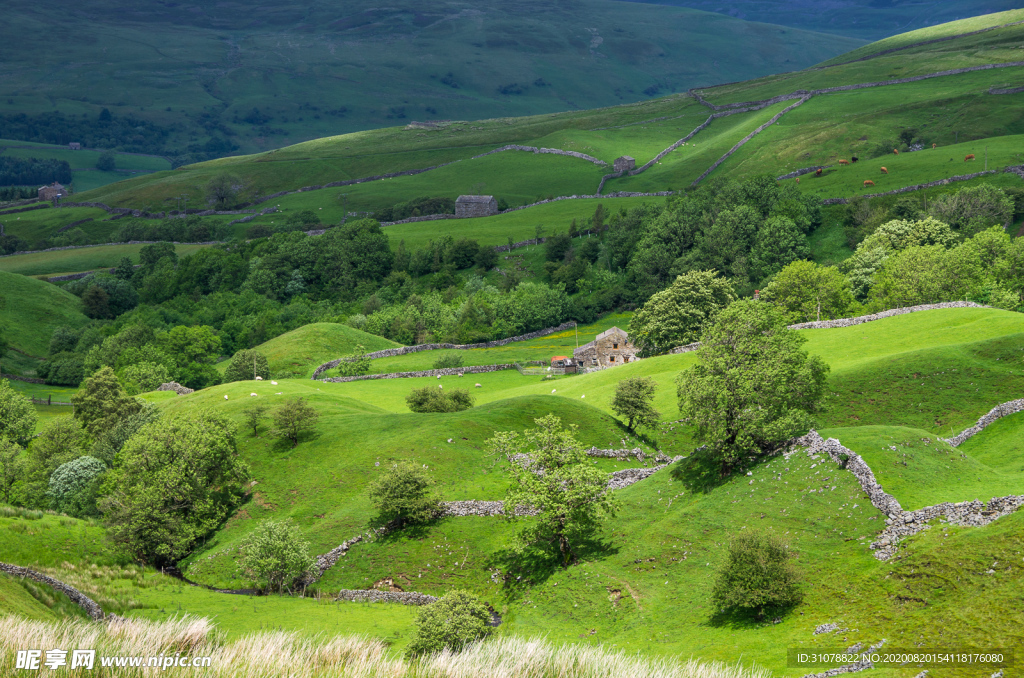 中世纪田园风景图