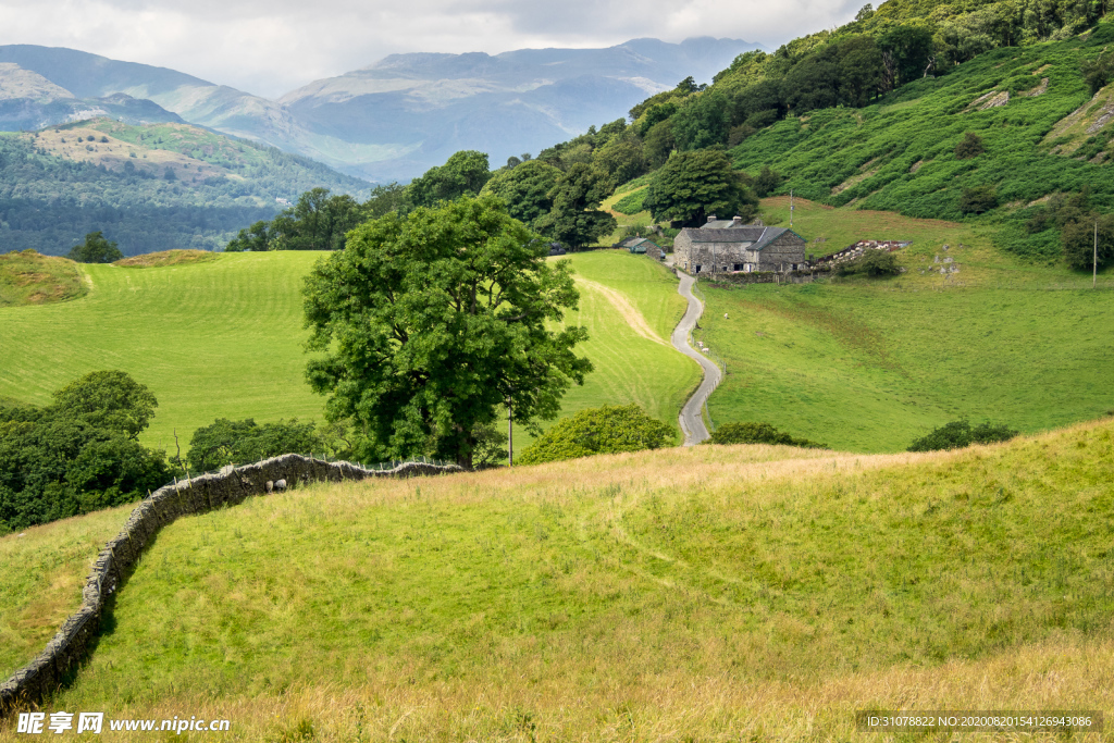 中世纪田园风景图