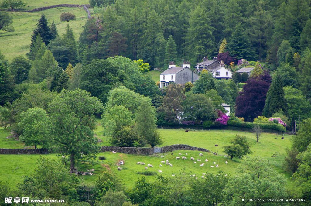 中世纪田园风景图