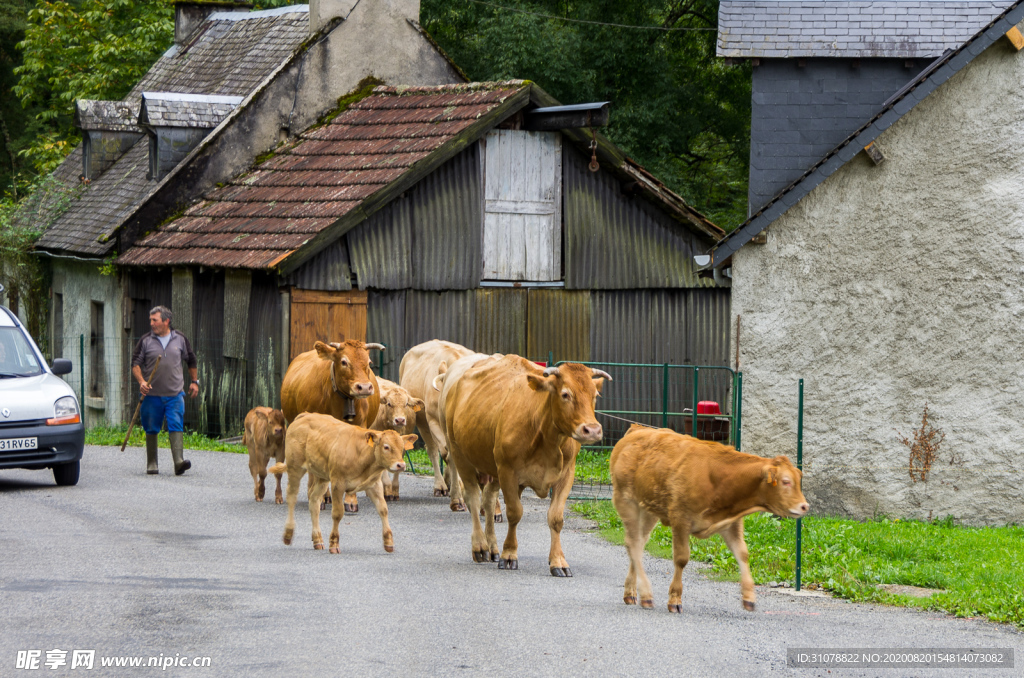 中世纪田园风景图