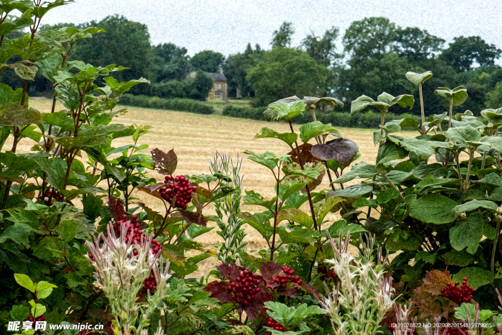 中世纪田园风景图
