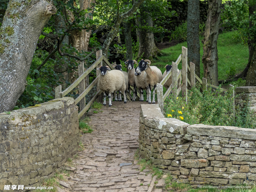 中世纪田园风景图