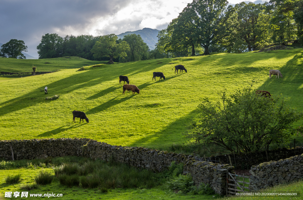 中世纪田园风景图
