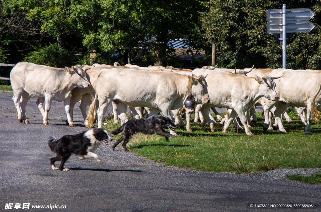中世纪田园风景图