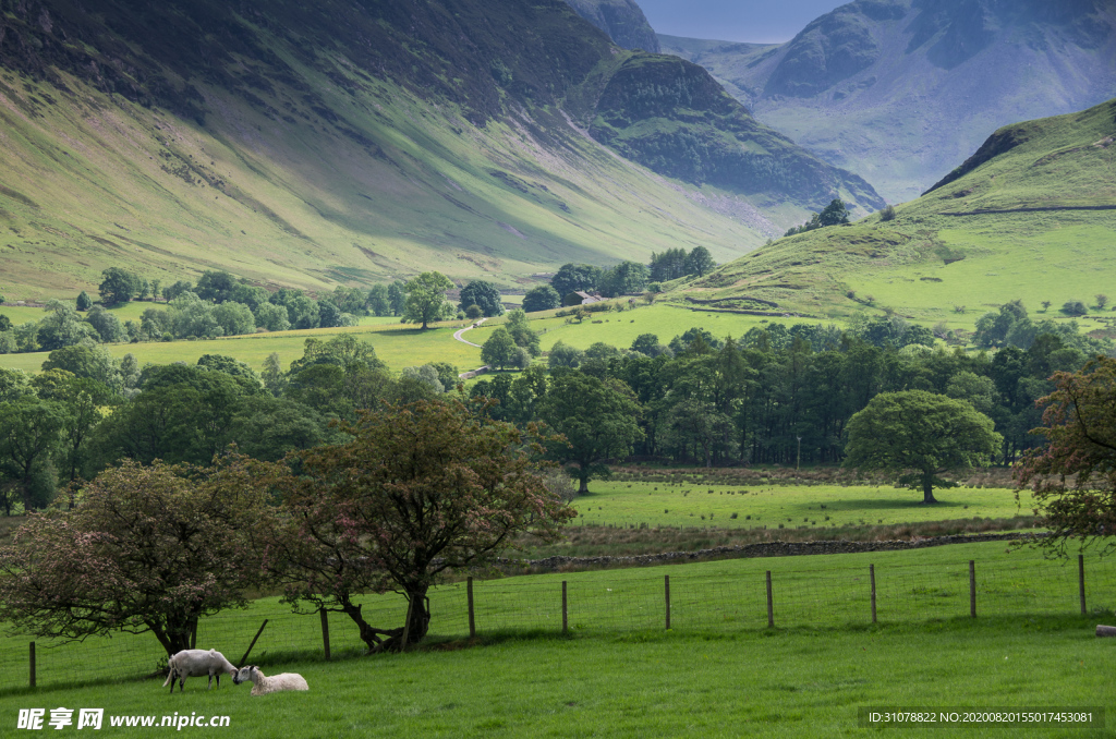 中世纪田园风景图