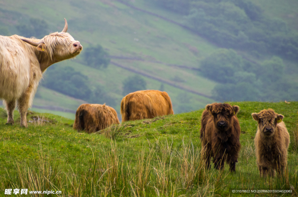 中世纪田园风景图