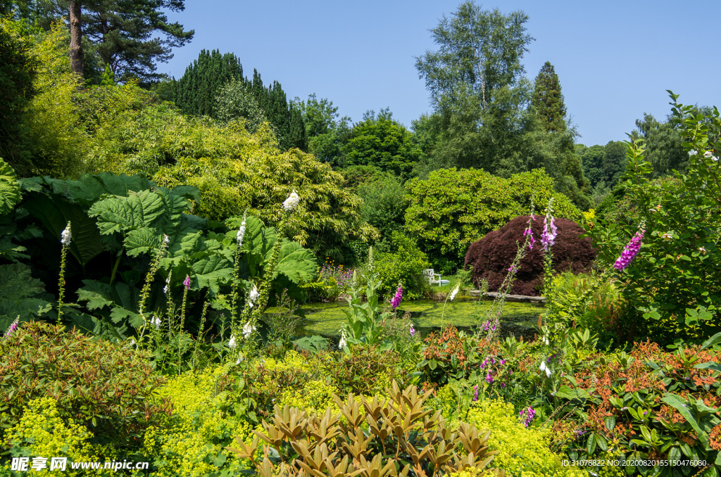 中世纪田园风景图