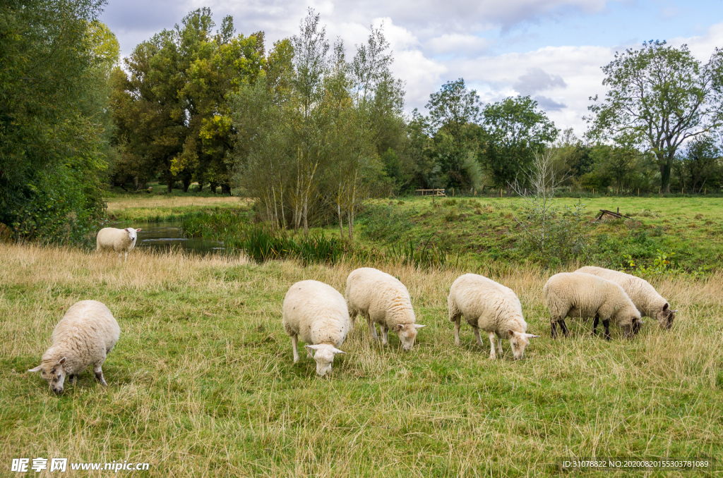 中世纪田园风景图