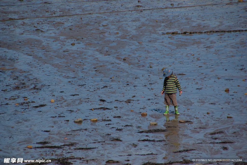 中世纪田园风景图
