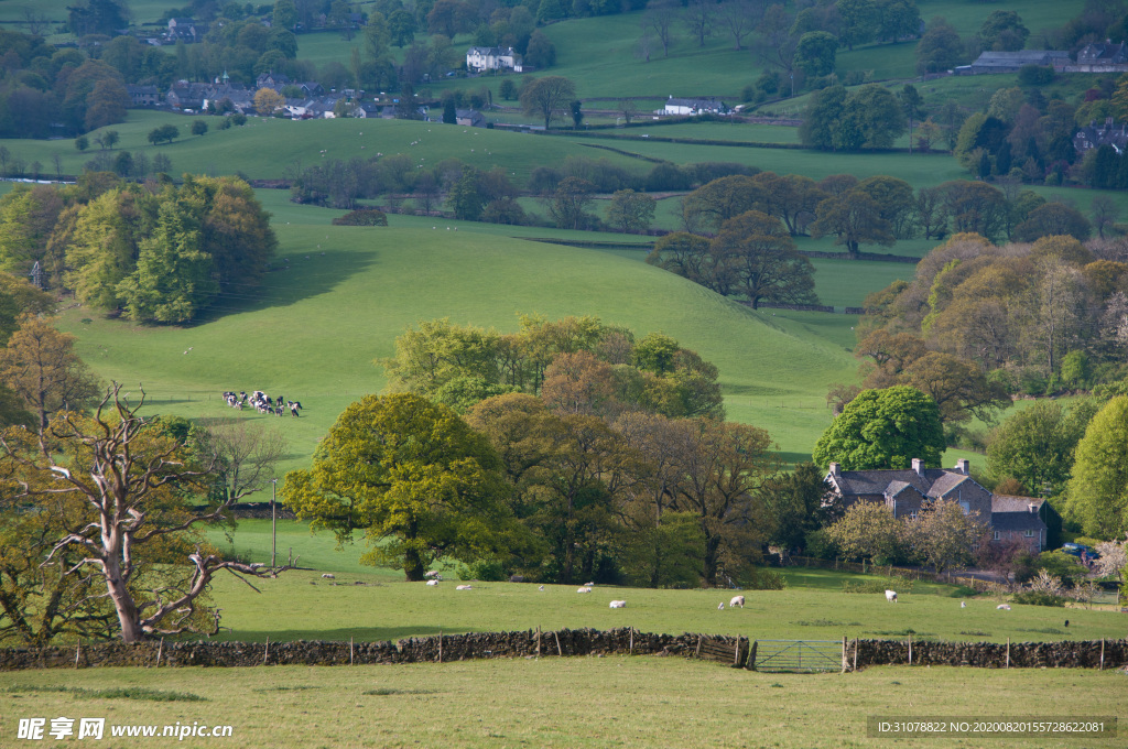 中世纪田园风景图