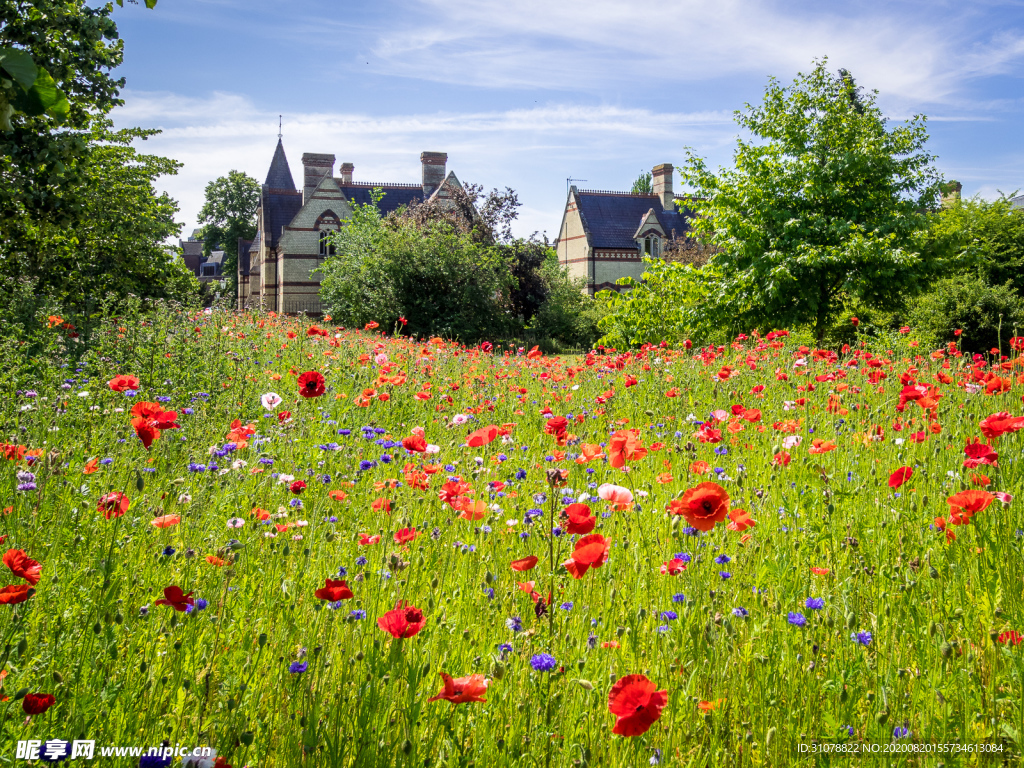 中世纪田园风景图