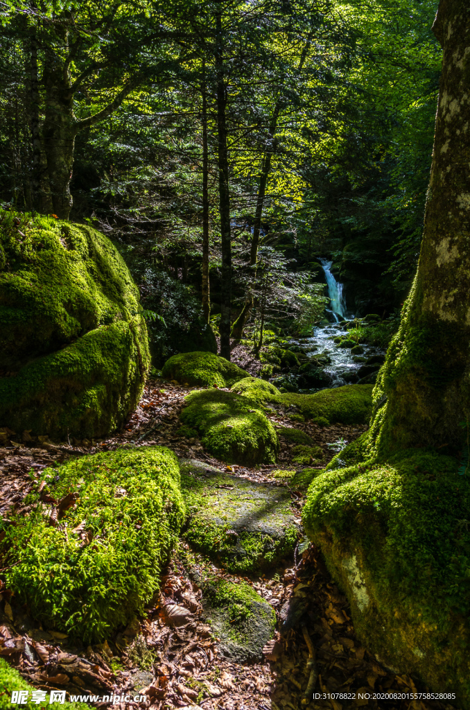 中世纪田园风景图