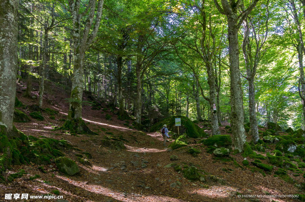 中世纪田园风景摄影