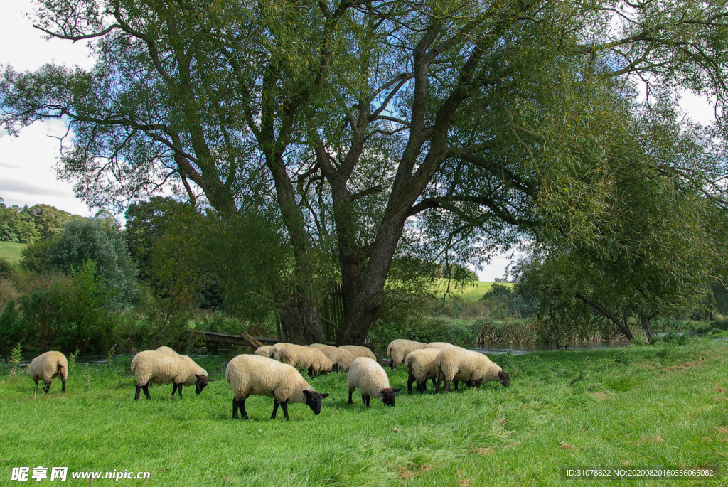 中世纪田园风景摄影