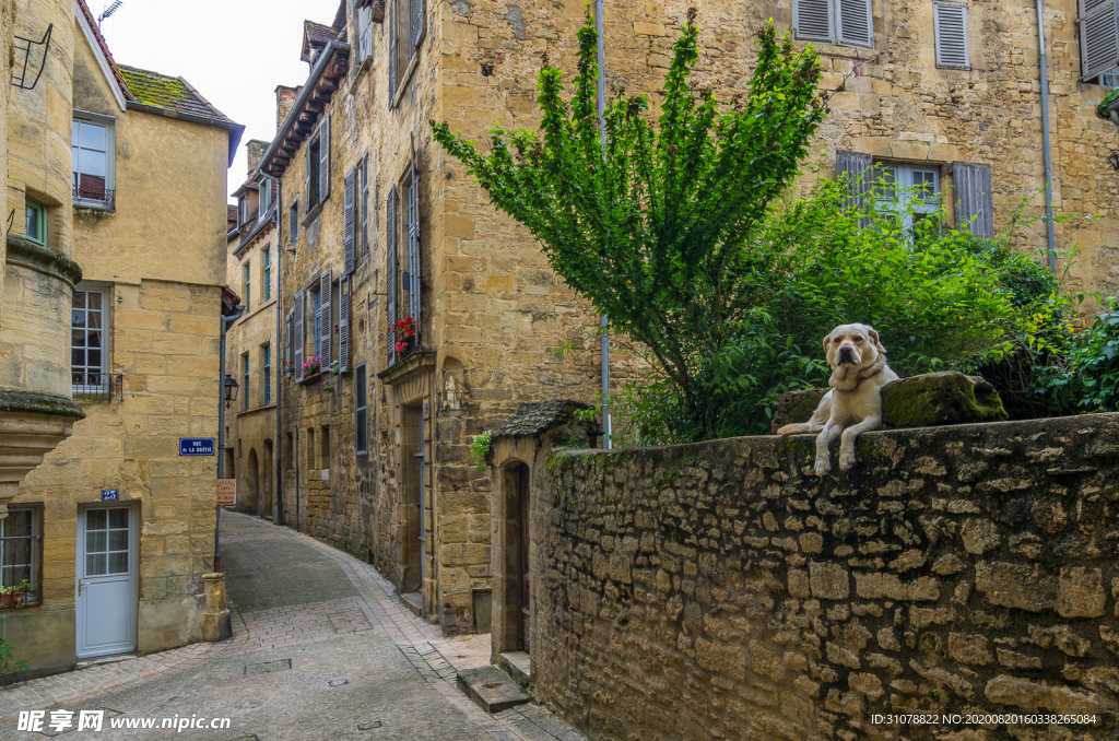 中世纪田园风景摄影