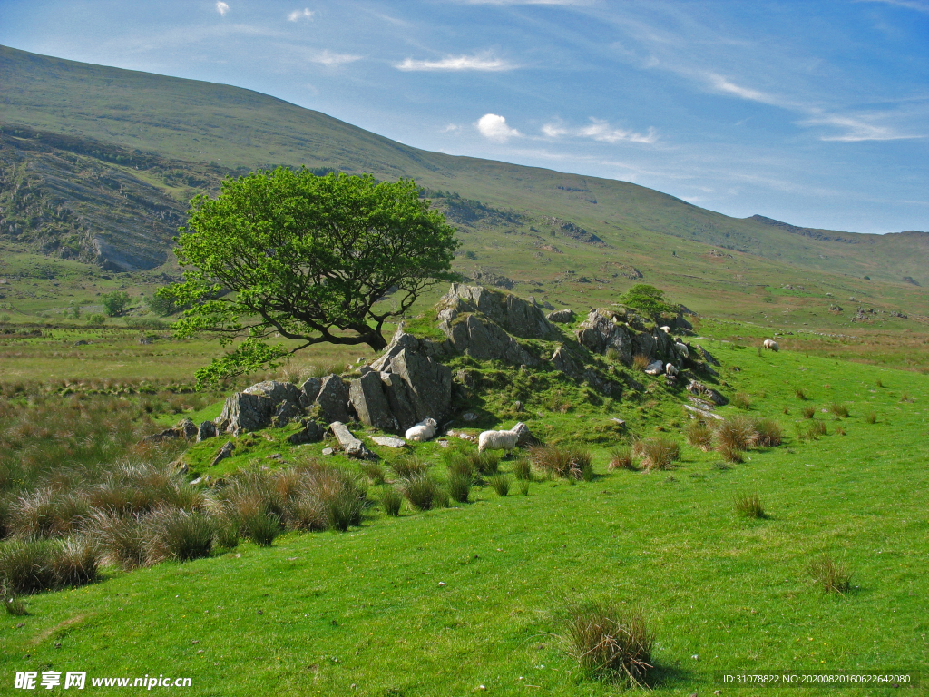 中世纪田园风景摄影