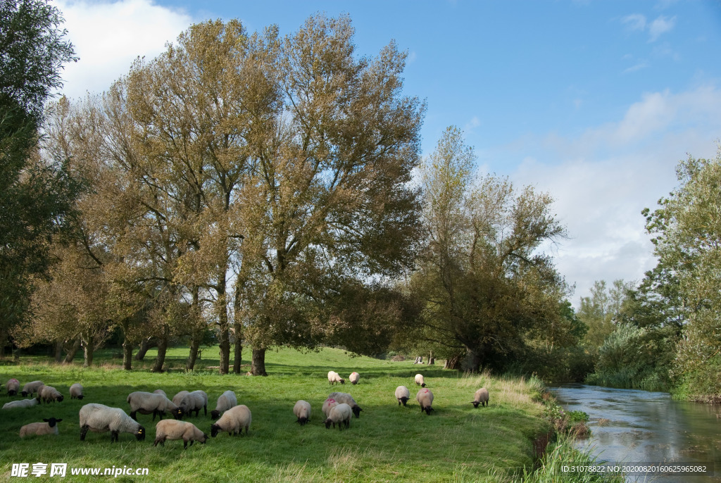中世纪田园风景摄影