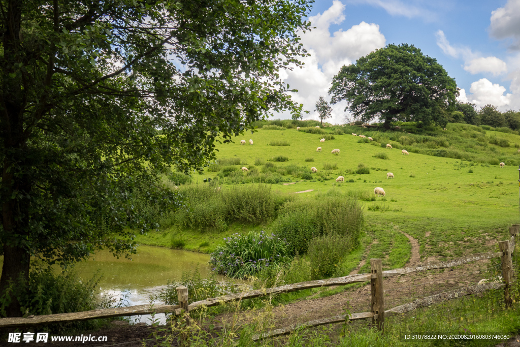 中世纪田园风景摄影