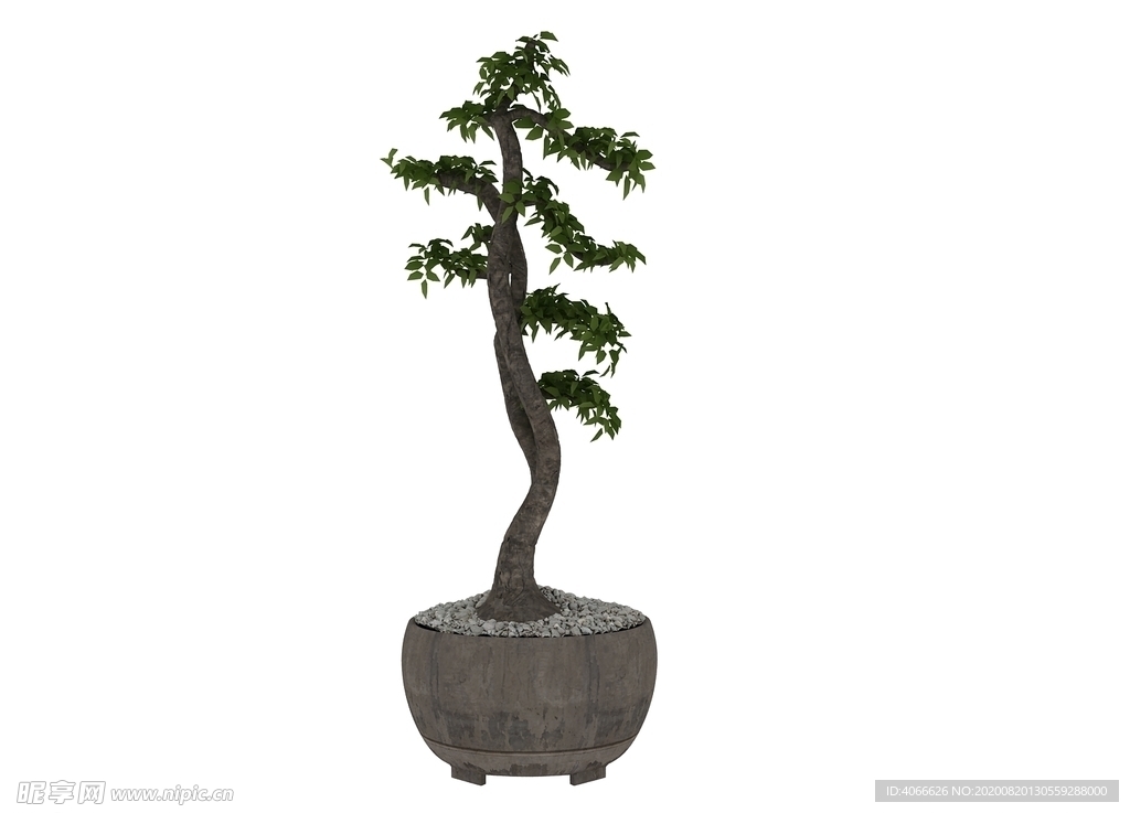 榕树3d模型