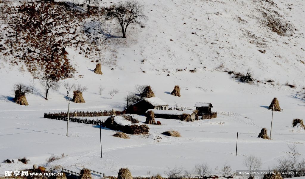 抚顺农村雪景风光