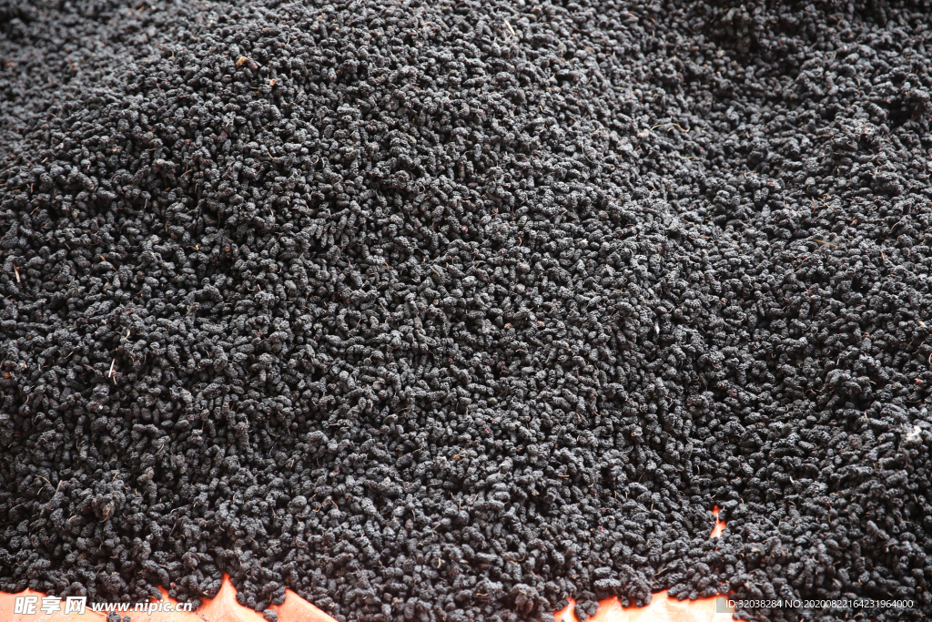 桑葚采摘 桑葚上市 桑甚果