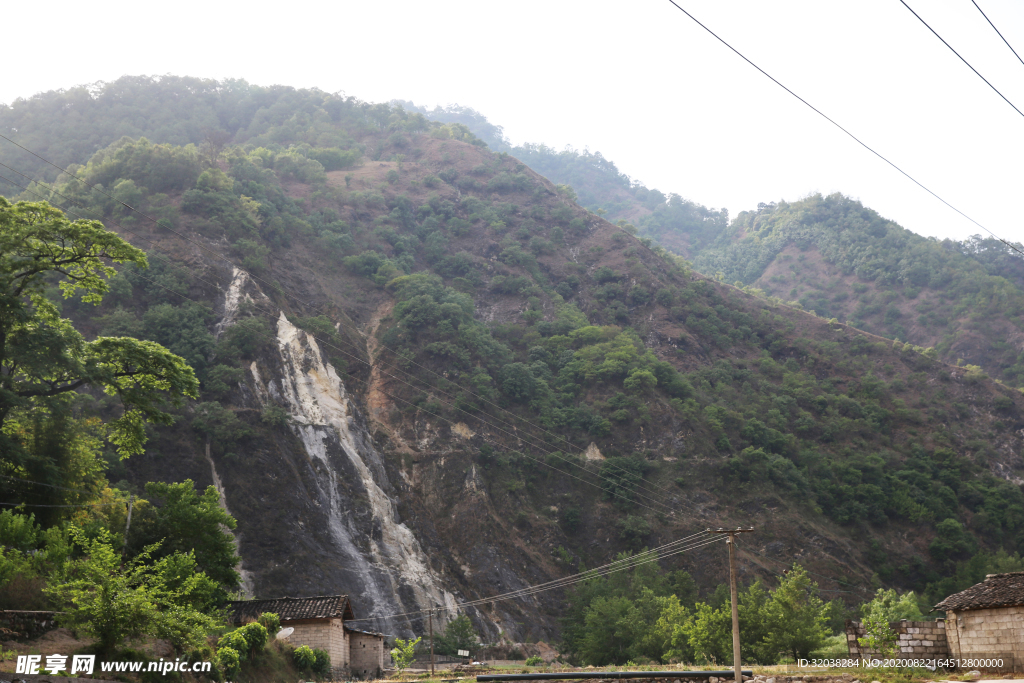 桑葚采摘 桑葚上市 桑甚果