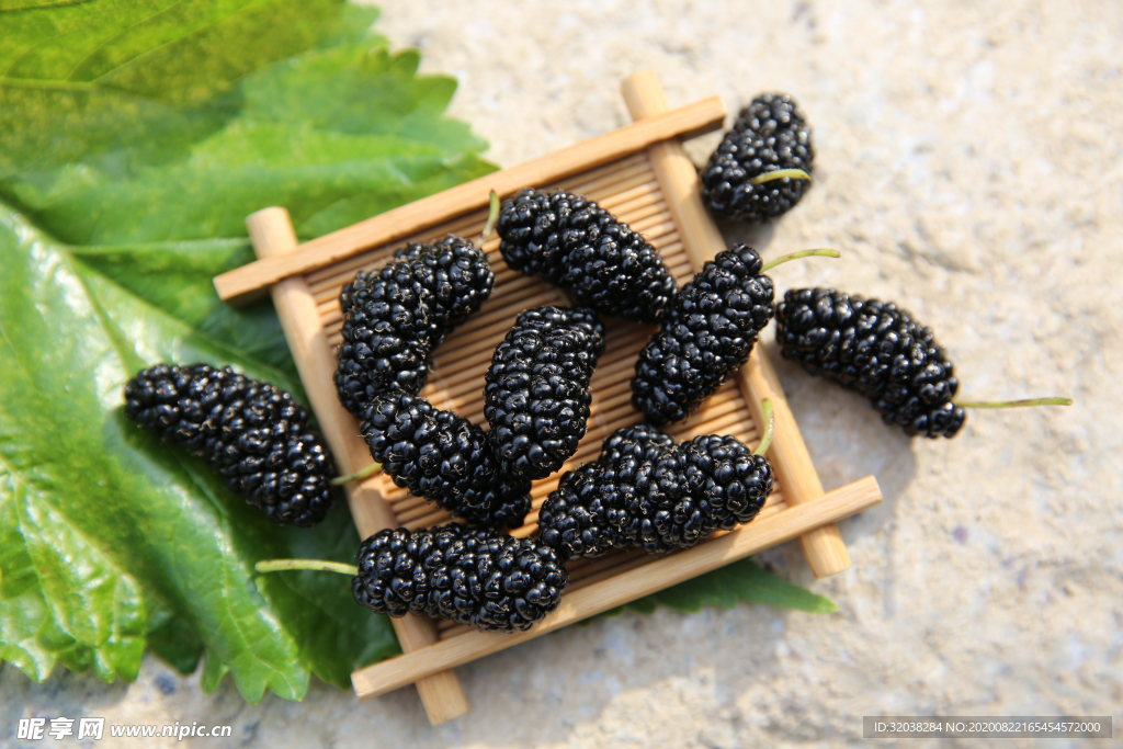 桑葚采摘 桑葚上市 桑甚果