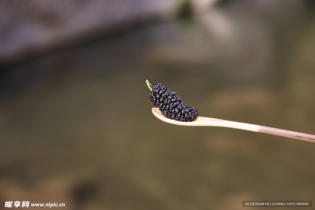 桑葚采摘 桑葚上市 桑甚果