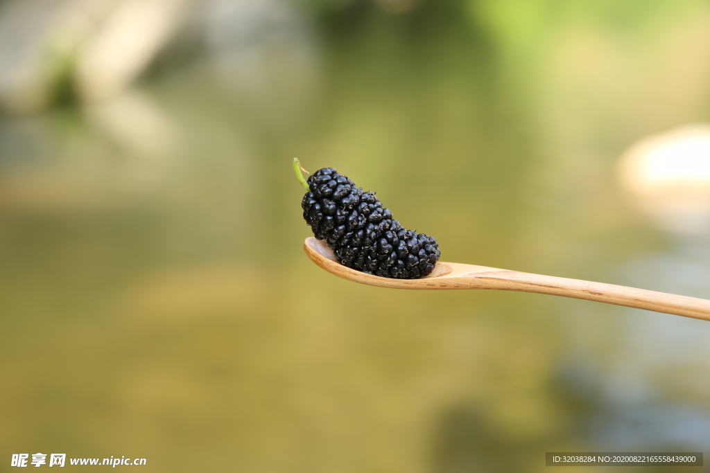 桑葚采摘 桑葚上市 桑甚果