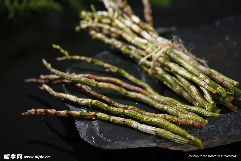 石斛图片
