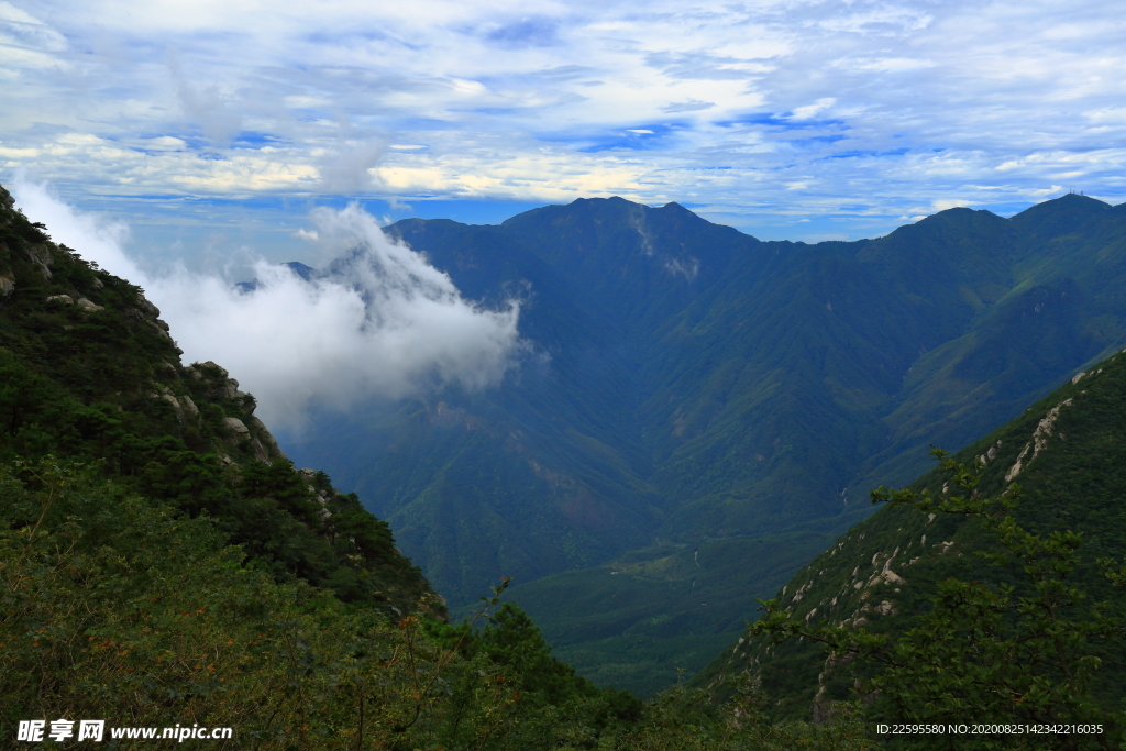 庐山五老峰云海