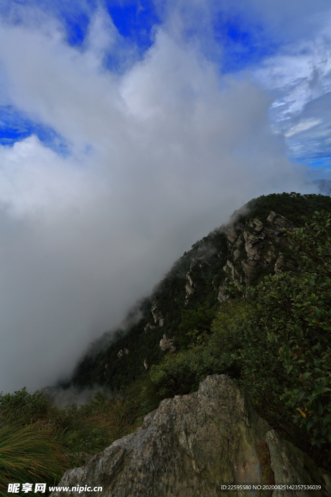 庐山五老峰云海