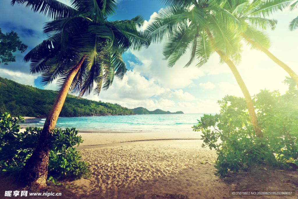 海岸风景摄影图