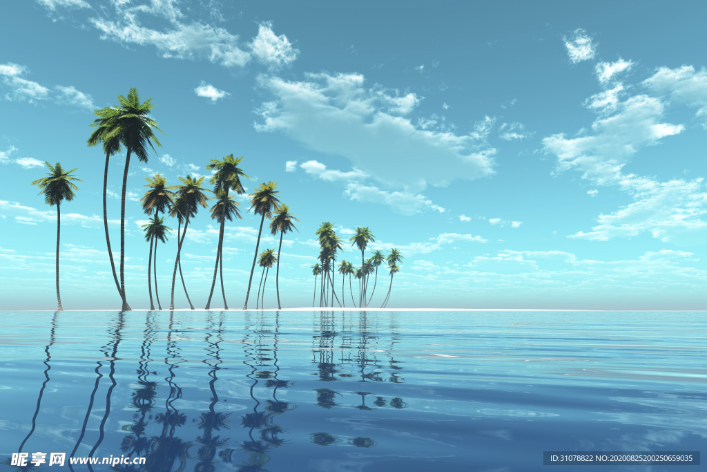 海岸风景摄影图