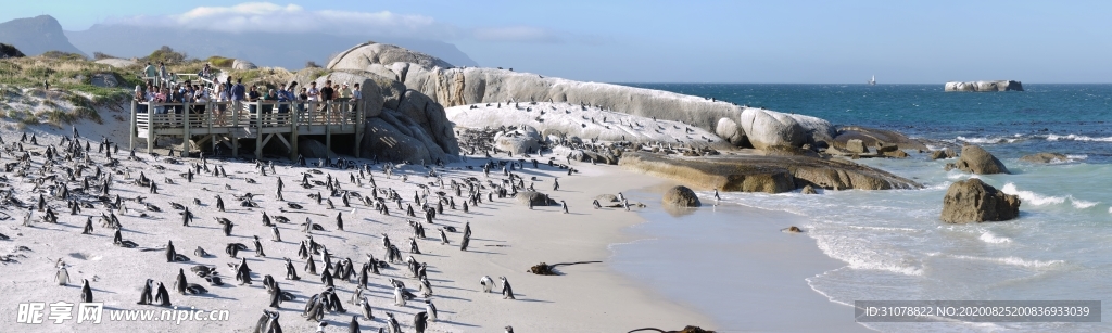 海岸风景摄影图