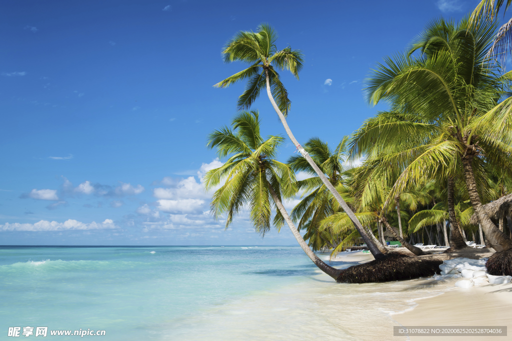 海岸风景摄影图