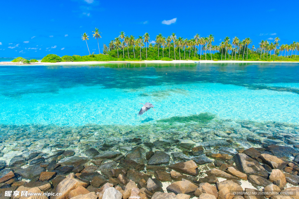 海岸风景摄影图