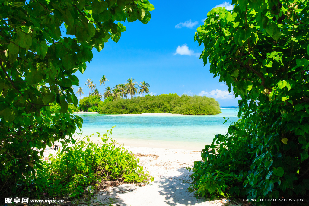 海岸风景摄影图