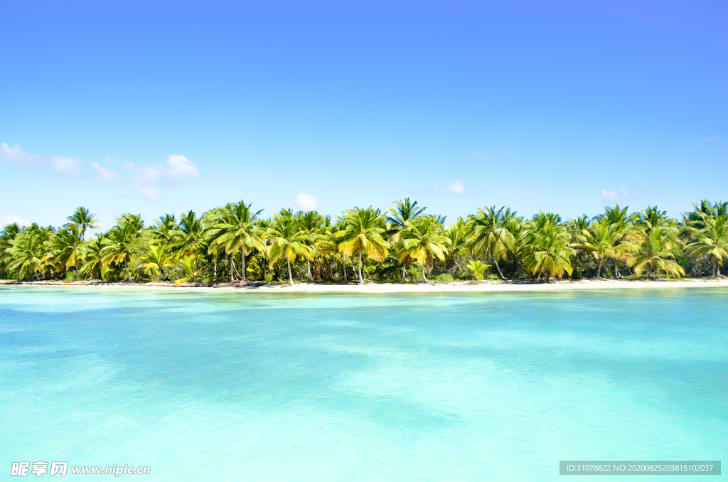 海岸风景摄影图