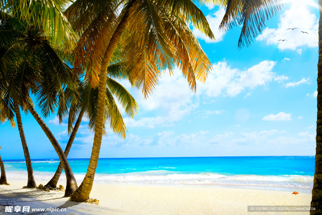 海岸风景摄影图